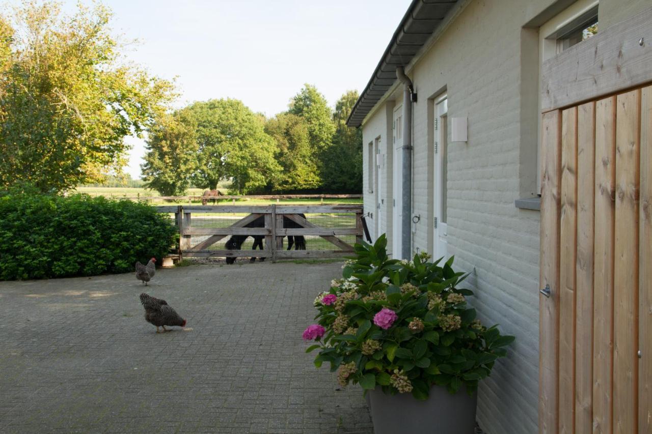 Het Rooversnest Riel Bagian luar foto